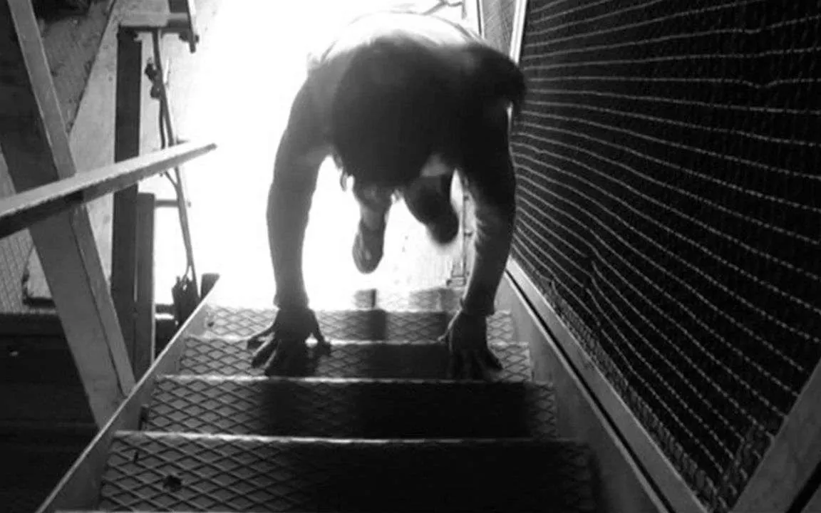Portada de Escalera al sueño