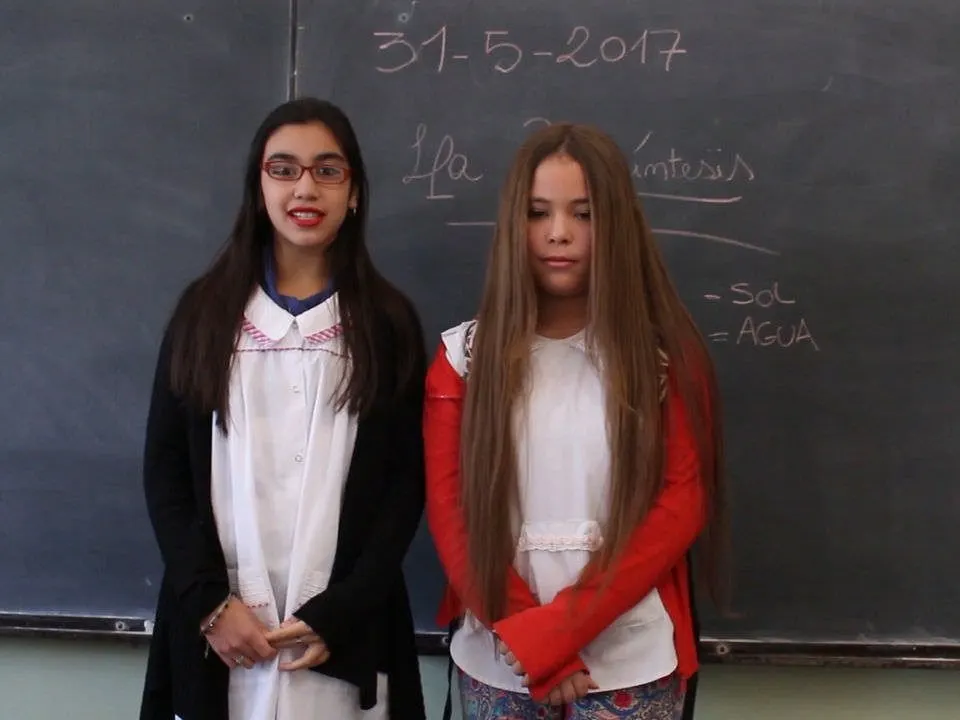Portada de No todos son perfectos