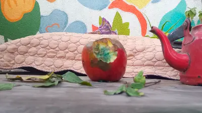 Portada de Manzana Podrida